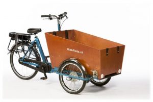 Bakfiets.nl CargoTrike Classic Narrow Steps