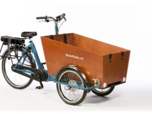 Bakfiets.nl CargoTrike Classic Narrow Steps