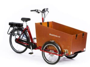 Bakfiets.nl CargoTrike Classic Wide Steps