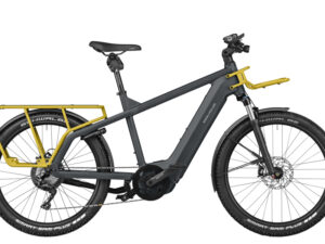 Riese & Müller Multicharger Mixte