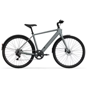 tenways-cgo600-plus-e-bike-grijs-1