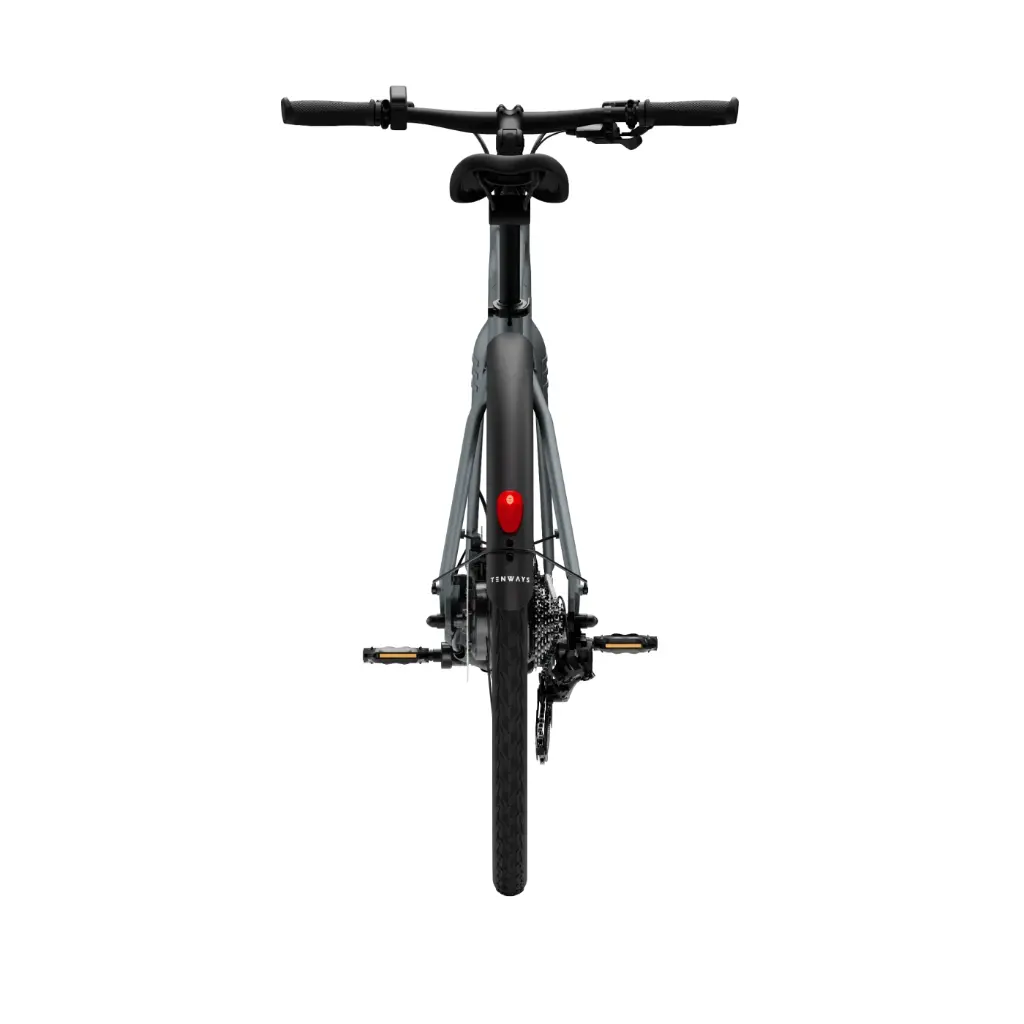 tenways-cgo600-plus-e-bike-grijs-5