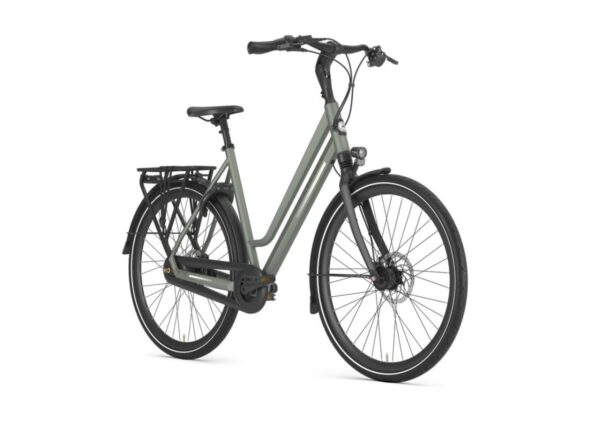 GAZELLE Chamonix C8 DAMES Clay Green Mat 53cm 2024