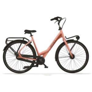CORTINA Common 50cm 2025