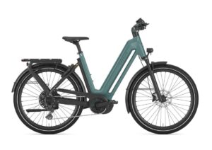 GAZELLE Eclipse T11 DAMES thyme green mat 45cm 2024