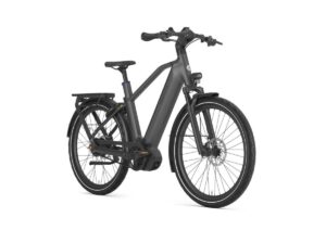 GAZELLE Eclipse C380 HEREN anthracite grey mat 55cm 2024