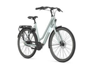 GAZELLE Esprit Belt DAMES light olive mat 54cm 2025