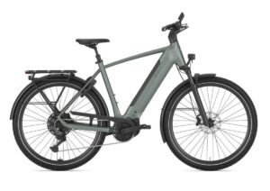 GAZELLE Ultimate T11 HEREN twilight green mat 53cm 2026