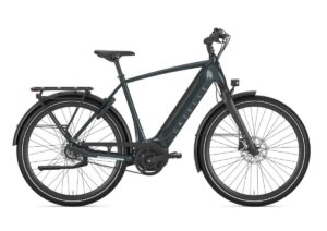 GAZELLE Ultimate C8+ HEREN pine green glans 53cm 2024