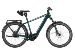 RIESE UND M&Uuml;LLER Charger5 vario T Pine 53cm ch5 53cm 53cm ch5 2026