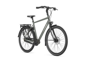 GAZELLE Chamonix C8 HEREN Clay Green Mat 65cm 2024