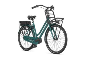 GAZELLE HeavyDutyNL C7+ DAMES thyme green glans 46cm 2024