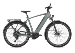 GAZELLE Ultimate T11 HEREN twilight green mat 53cm 2026