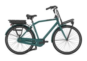 GAZELLE HeavyDutyNL C7+ HEREN thyme green glans 49cm 2024