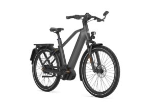 GAZELLE Eclipse Speed HEREN anthracite grey mat 50cm 2024