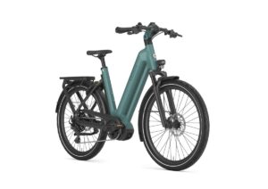 GAZELLE Eclipse T11 HMB DAMES Thyme Green Mat 50cm 2024