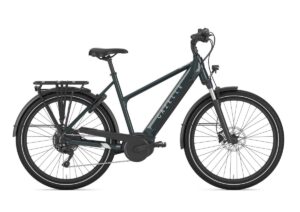 GAZELLE Medeo T10 MIXED pine green glans 45cm 2024