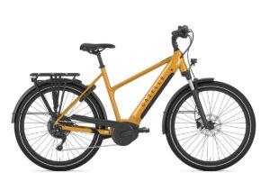 GAZELLE Medeo T10 MIXED turmeric yellow glans 45cm 2024