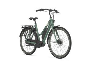 GAZELLE Esprit C7 DAMES moss green mat 46cm 2023