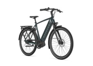GAZELLE Ultimate C8+ HEREN pine green glans 61cm 2024