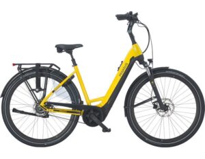 PEGASUS Ravenna EVO 8F Belt NL LEENFIETS Wave Pythongelb Metallic 28 Inch 2023