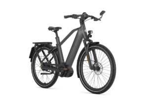 GAZELLE Eclipse Speed HEREN anthracite grey mat 50cm 2024