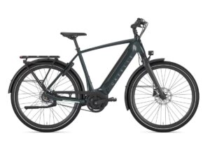 GAZELLE Ultimate C8+ HEREN pine green glans 61cm 2024