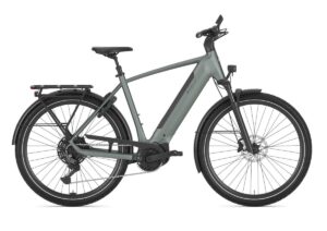 GAZELLE Ultimate T11 HEREN twilight green mat 53cm 2026